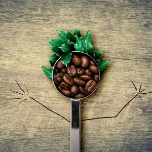 Coffee-Bean-Spoon-Leaves-Hair-Image